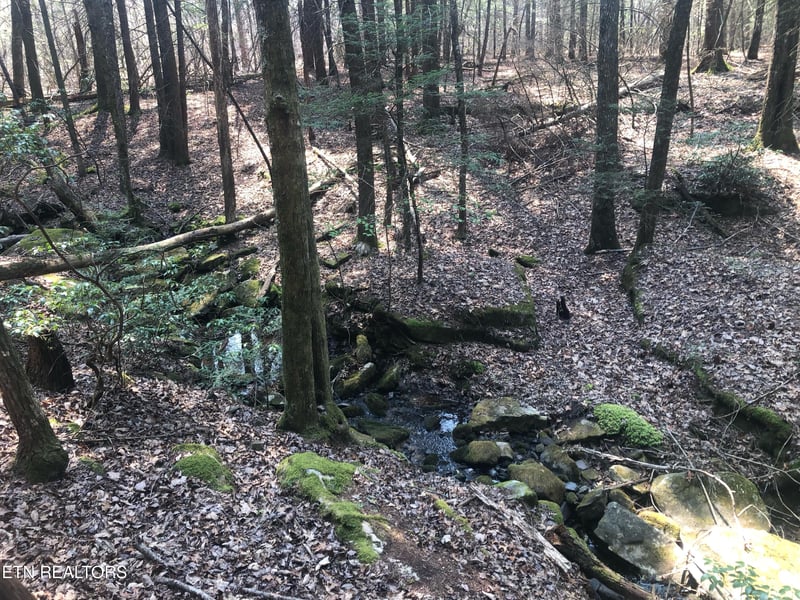 0 Jim Garrett Rd, Monterey, TN 38574
