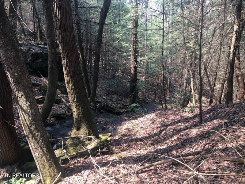 0 Jim Garrett Rd, Monterey, TN 38574