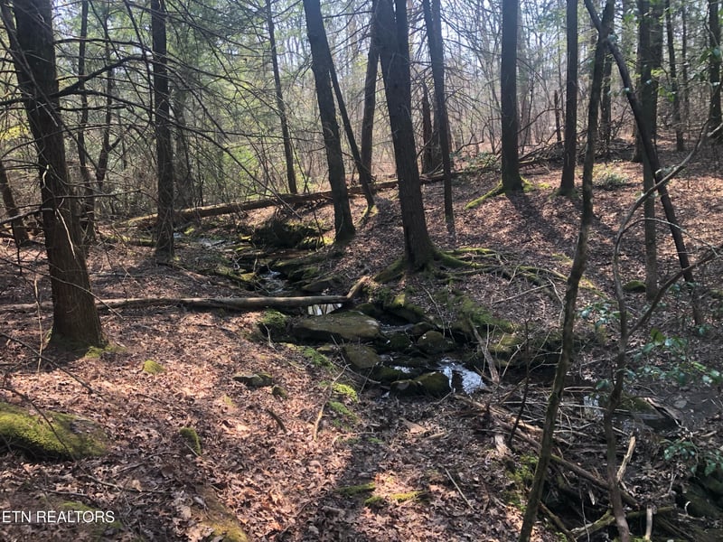 0 Jim Garrett Rd, Monterey, TN 38574