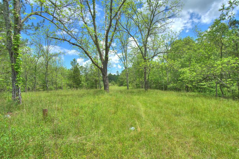 0 Jim Mcgill Rd, Deer Lodge, TN 37726
