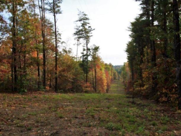 0 Joe Brown Hwy Lots 11 13, Tellico Plains, TN 37385