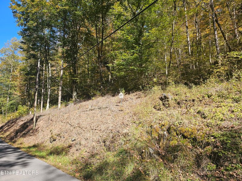 0 Joe Mill Creek Rd, Thorn Hill, TN 37881
