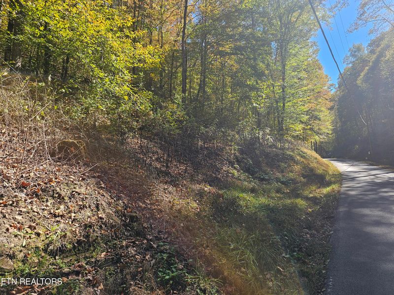 0 Joe Mill Creek Rd, Thorn Hill, TN 37881