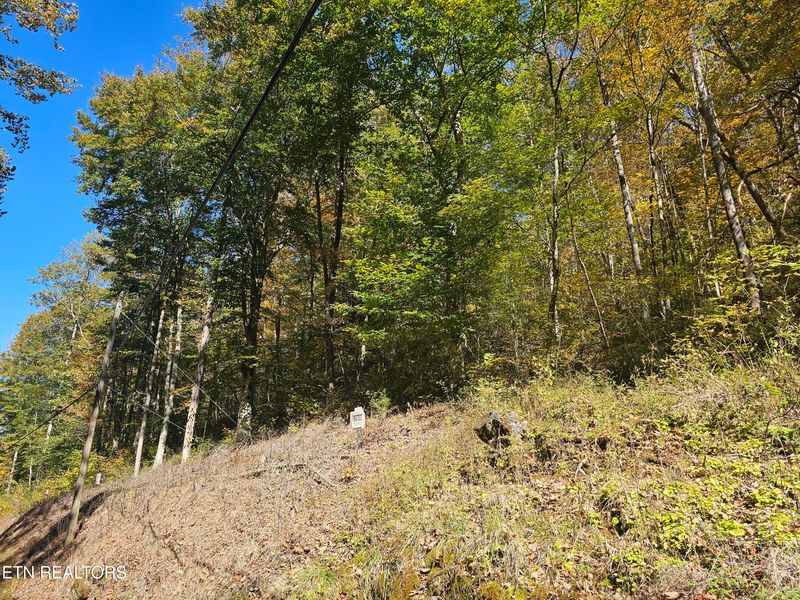 0 Joe Mill Creek Rd, Thorn Hill, TN 37881