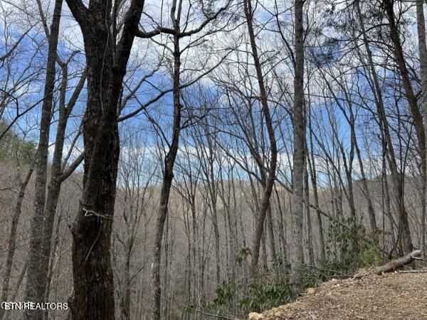 0 John Sevier Dr #10, Sevierville, TN 37876