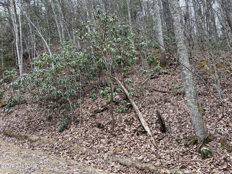 0 John Sevier Dr #10, Sevierville, TN 37876
