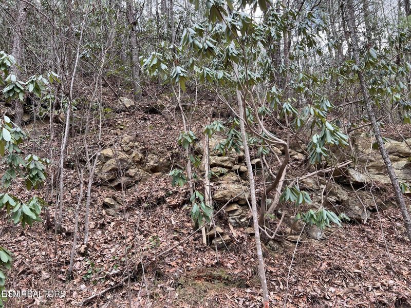 0 John Sevier Dr #10, Sevierville, TN 37876