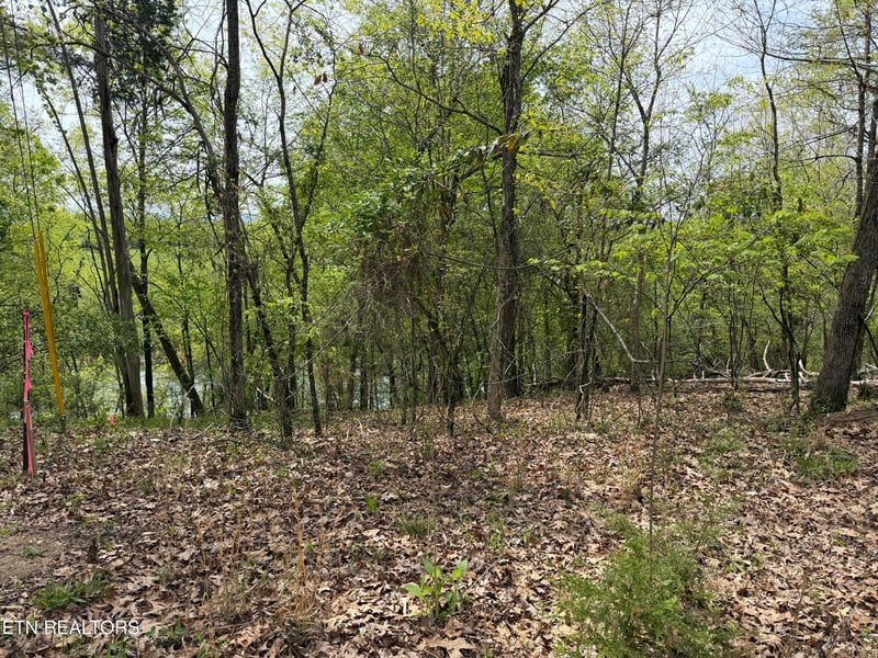 0 John Spears Way, Sevierville, TN 37876