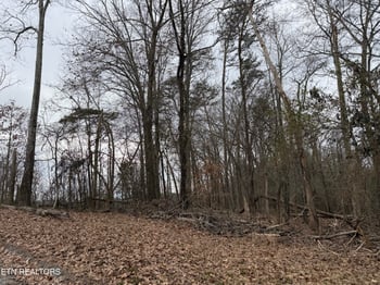 0 John Spears Way, Sevierville, TN 37876