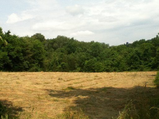 0 Johnson Loop Rd, Washburn, TN 37888