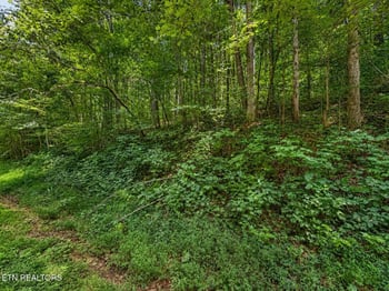 0 Johnson Valley Rd, Philadelphia, TN 37846
