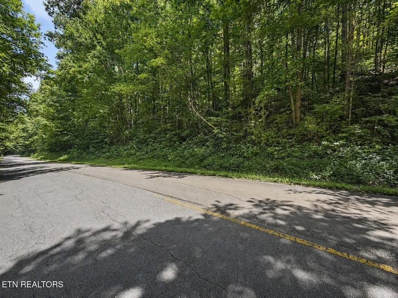 0 Johnson Valley Rd, Philadelphia, TN 37846