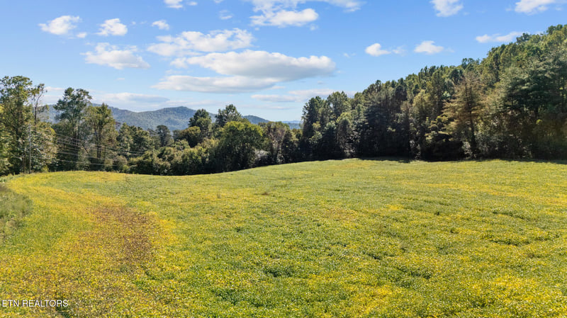 0 Jones Cove Rd, Cosby, TN 37722
