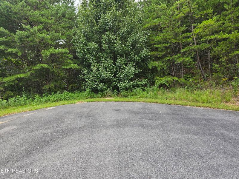 0 Jones Creek Ln, Sevierville, TN 37862