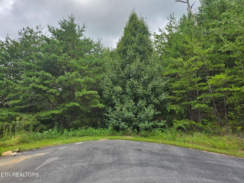 0 Jones Creek Ln, Sevierville, TN 37862