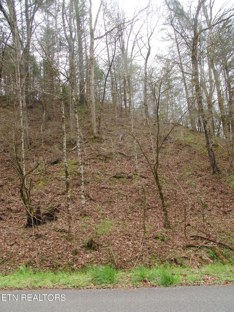 0 Jones Cv, Sevierville, TN 37876