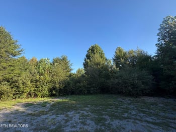 0 Jones Dr, Tellico Plains, TN 37385