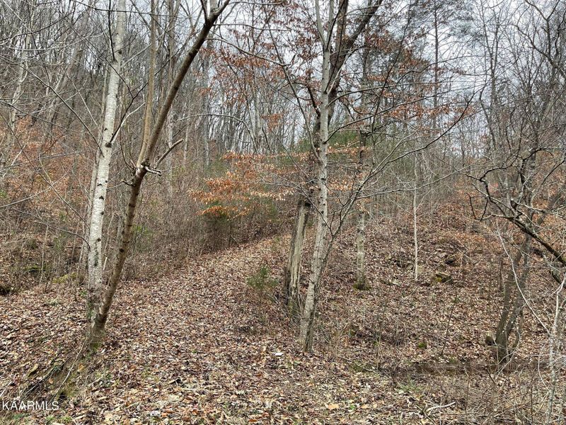 0 Joppa Mountain Rd, Rutledge, TN 37861