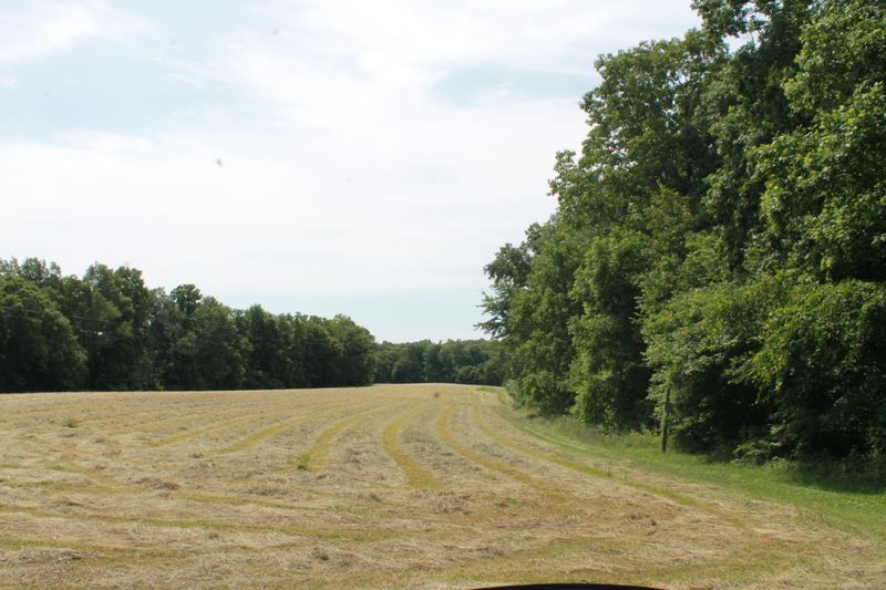 0 Junior Cox Road Rd, Deer Lodge, TN 37726