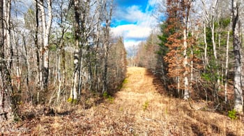 0 Junior Hall Rd, Sunbright, TN 37872