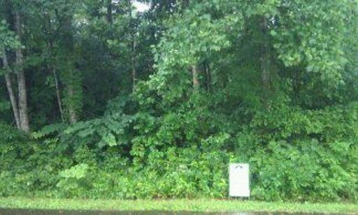 0 Kennesaw Ct, Vonore, TN 37801