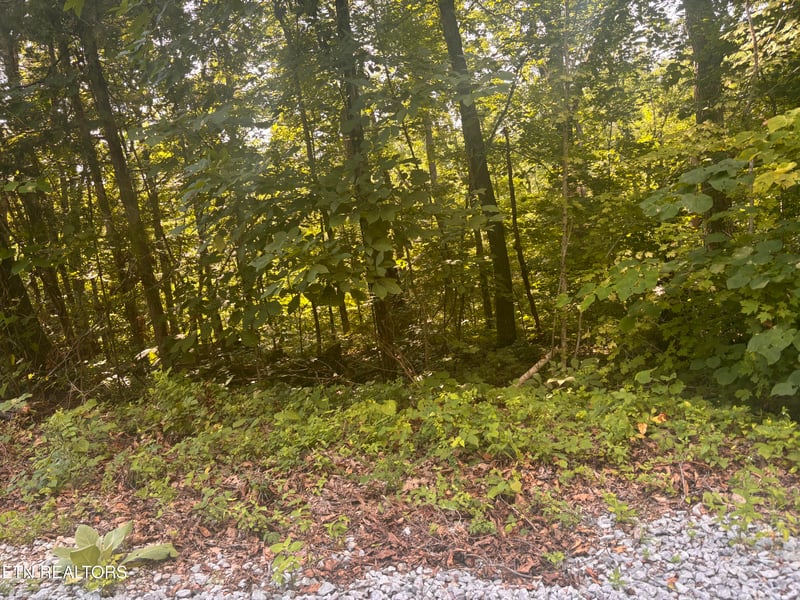 0 Kenny Fox Way, Sevierville, TN 37876