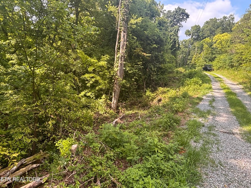 0 Kenny Fox Way, Sevierville, TN 37876