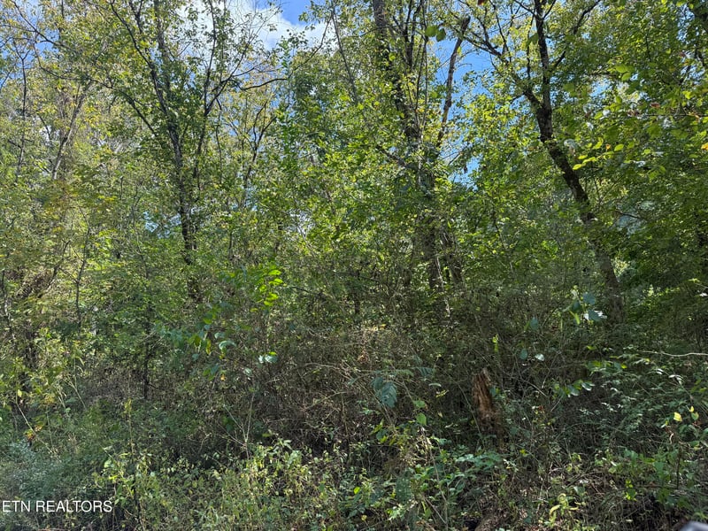 0 Kenwood Ln, Lafollette, TN 37766