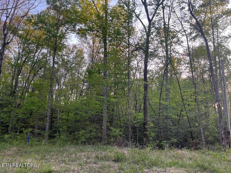0 Kiddie Cir, Crossville, TN 38572