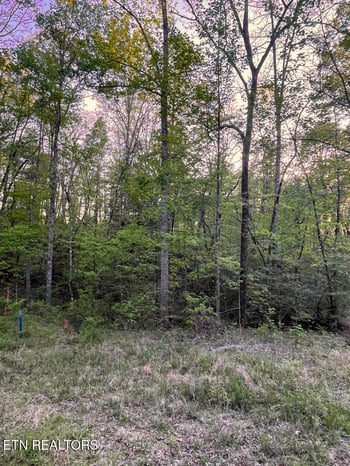 0 Kiddie Cir, Crossville, TN 38572