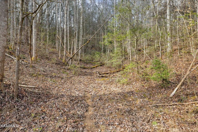 0 King Rd, Gatlinburg, TN 37738