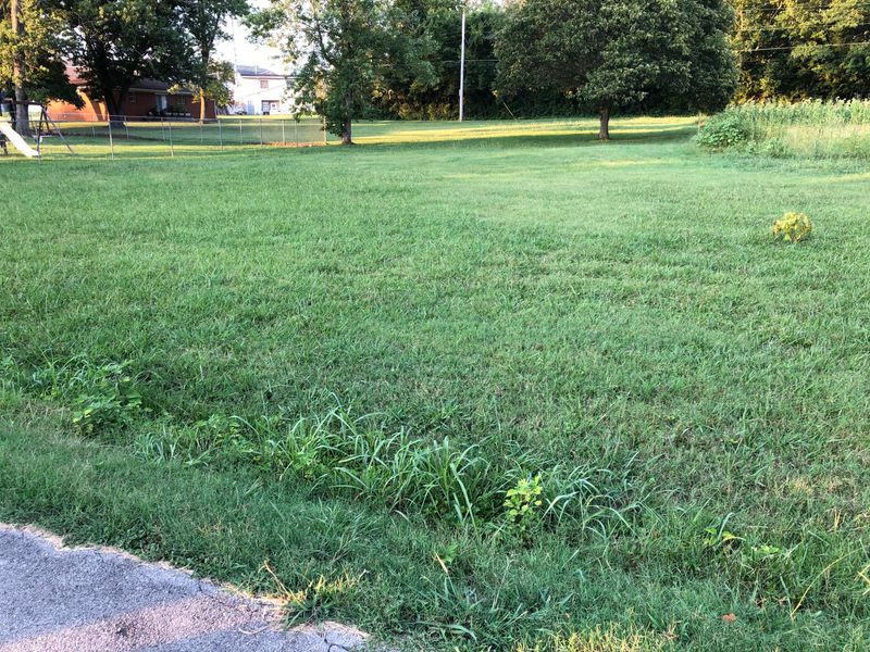 0 King Rd, Seymour, TN 37865