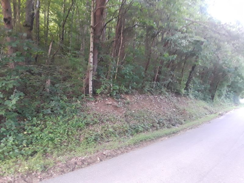 0 Kitts Rd, Luttrell, TN 37779