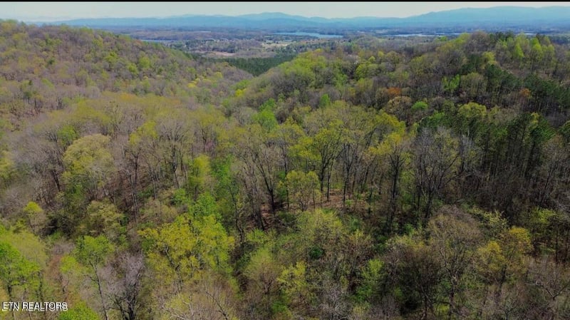 0 Knob Rd, Vonore, TN 37885
