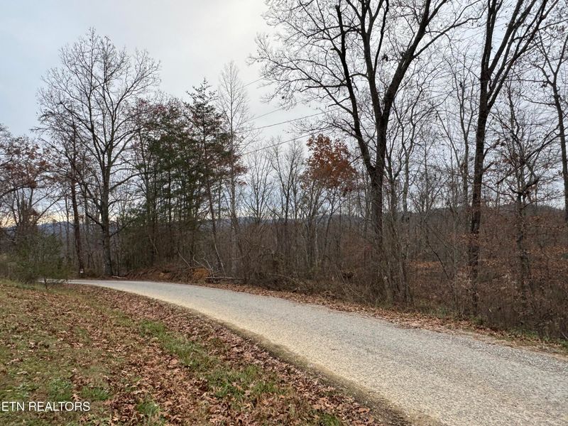 0 Knotty Pine Ln, Duff, TN 37729