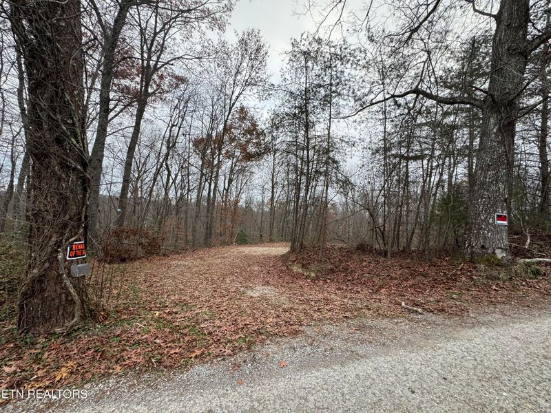 0 Knotty Pine Ln, Duff, TN 37729