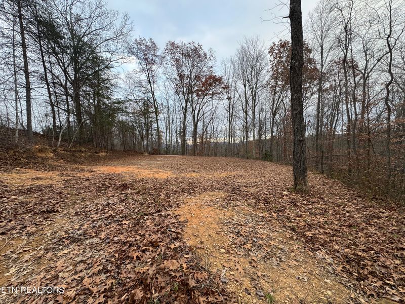 0 Knotty Pine Ln, Duff, TN 37729