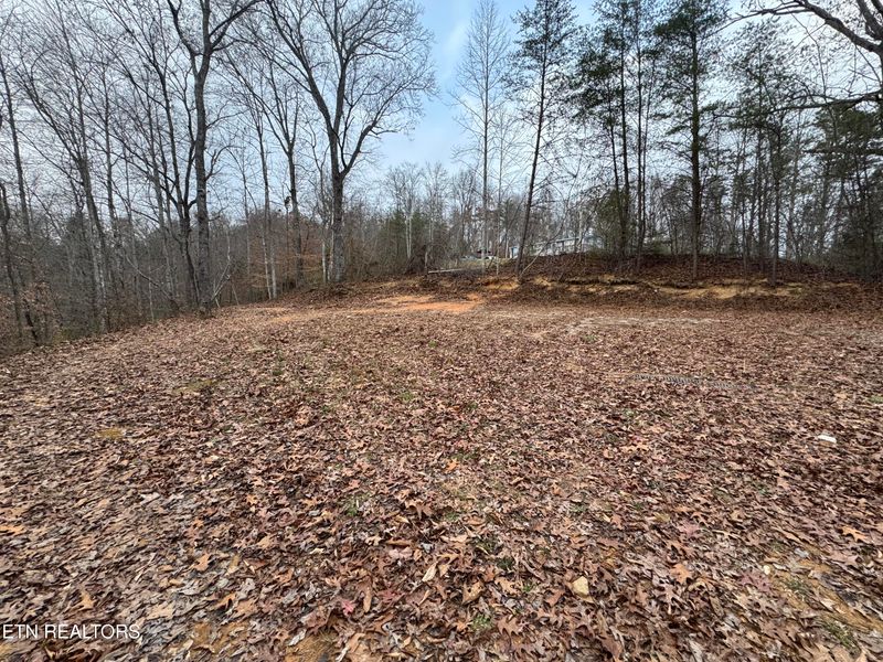 0 Knotty Pine Ln, Duff, TN 37729
