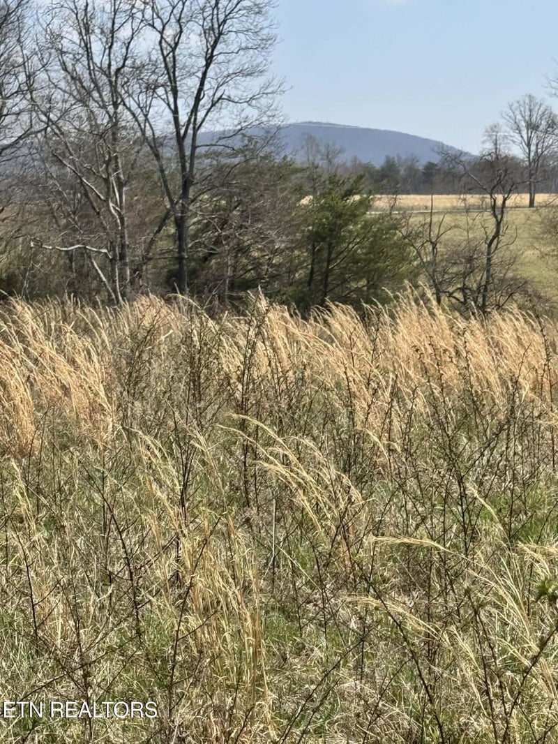 0 Knox Ln, Crab Orchard, TN 37723