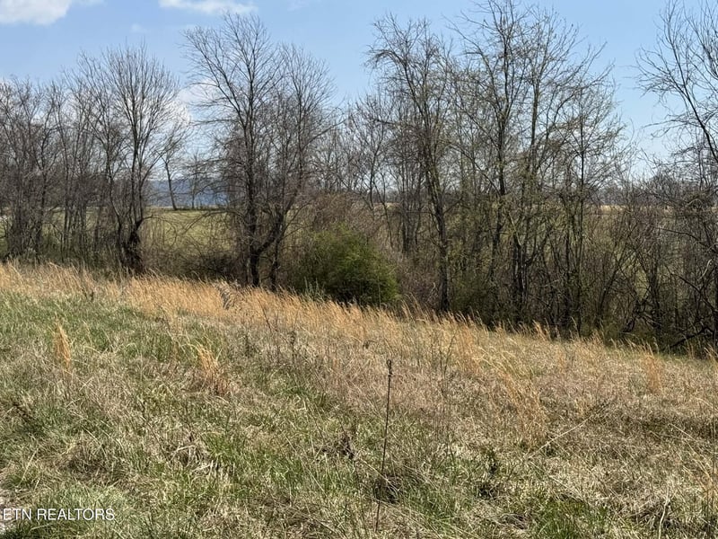 0 Knox Ln, Crab Orchard, TN 37723