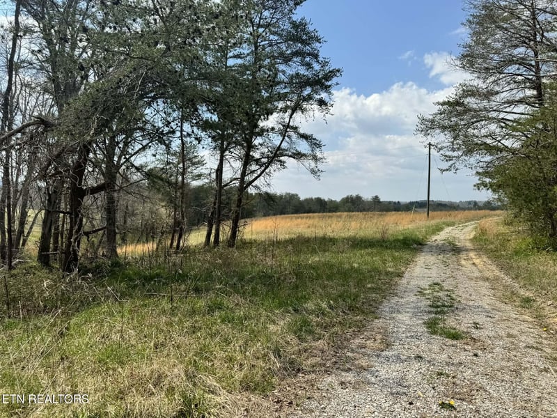 0 Knox Ln, Crab Orchard, TN 37723
