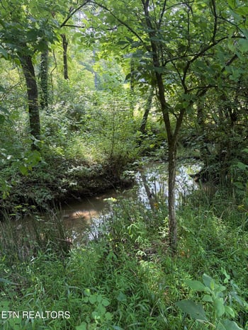 0 Kodak Rd, Knoxville, TN 37914