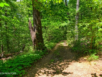 0 Koon Ln, Knoxville, TN 37931