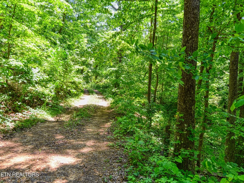 0 Koon Ln, Knoxville, TN 37931