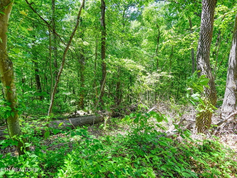 0 Koon Ln, Knoxville, TN 37931