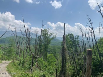 0 Kristis Pl, Gatlinburg, TN 37738