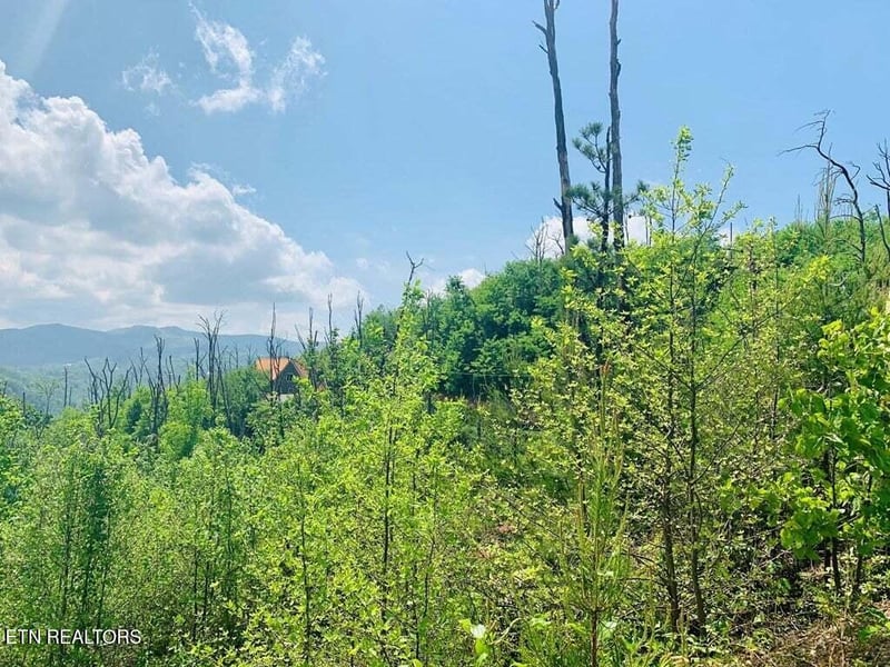 0 Kristis Pl, Gatlinburg, TN 37738