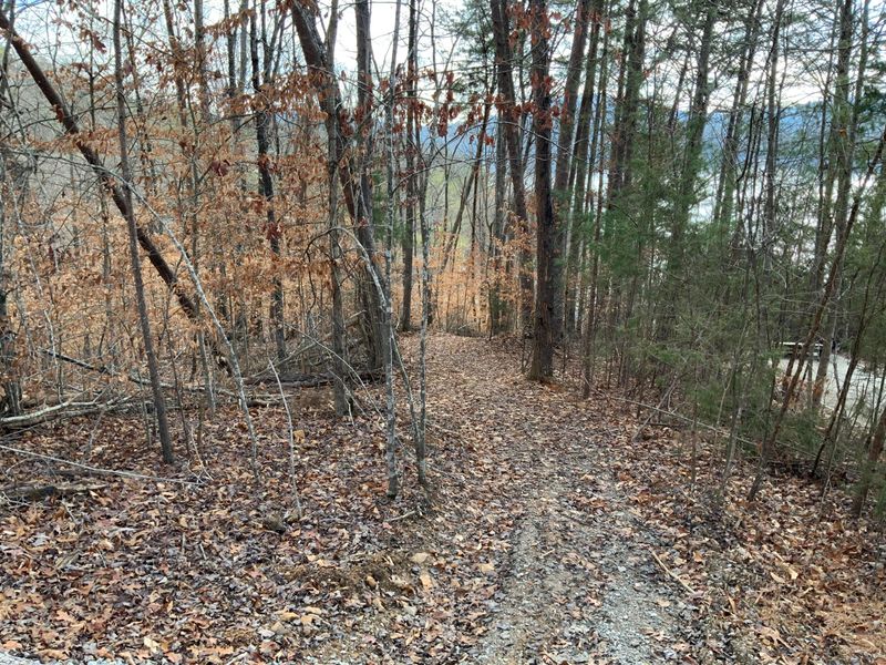 0 L 151 Emerald Pt, Sharps Chapel, TN 37866