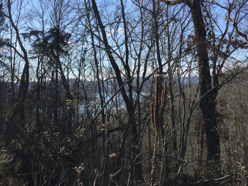 0 L 169 Pearl Pt, Sharps Chapel, TN 37866