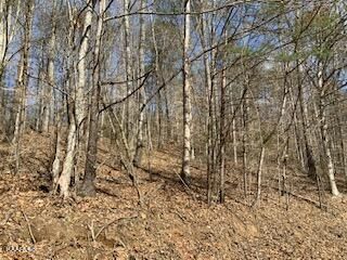 0 L 174 Lakeview Dr, Sharps Chapel, TN 37866